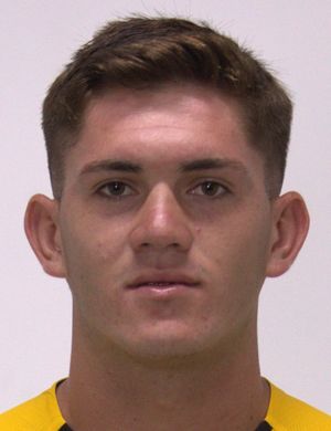 Alcides Domínguez
