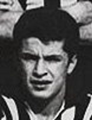 Haldun Yağızer