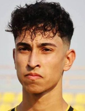 Mohammadjavad Mokarram