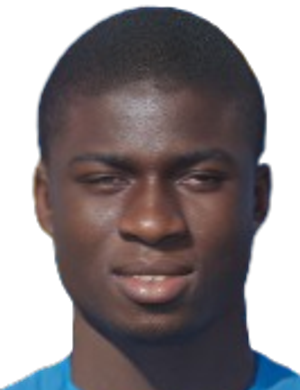 Njogu Demba-Nyrén