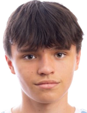 Vladimir Sosnitskiy