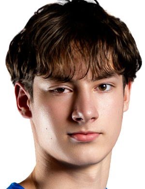 Arvis Muizzemnieks