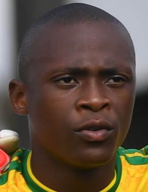 Zazi Qotoyi