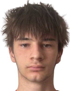 Dmitriy Voronin