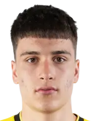 Radmir Vdovin