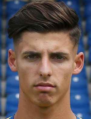 Ivan Franjic Spielerprofil 21/22 Transfermarkt