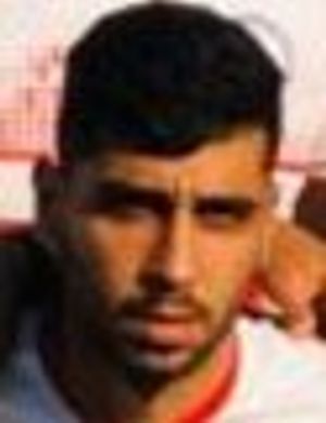 Mohammadhossein Mehrazma