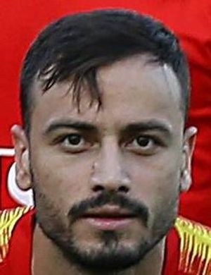 Vahid Heydarieh