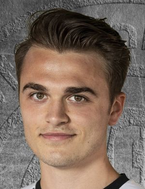 Dominik Hepp