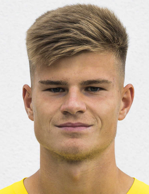 Mathias Gindl