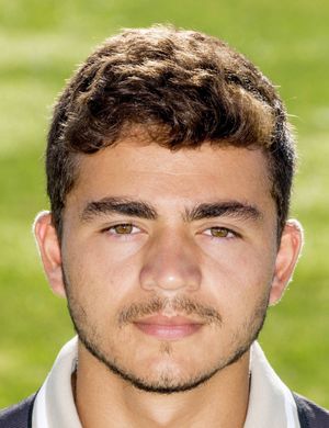 Miguel Viegas