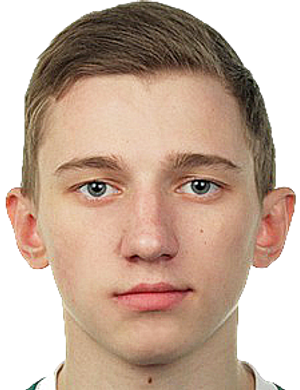 Artem Bibik
