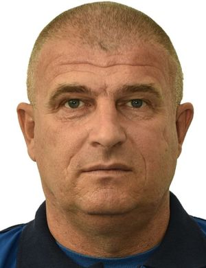 Damir Vucic