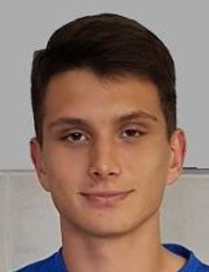 Nikola Jerbic