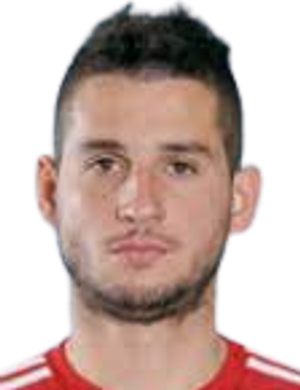 Milan Perendija