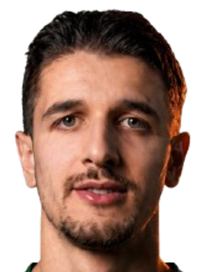 Radivoj Bosic