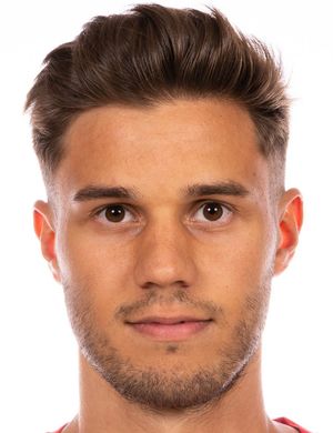 Dominik Crljenec
