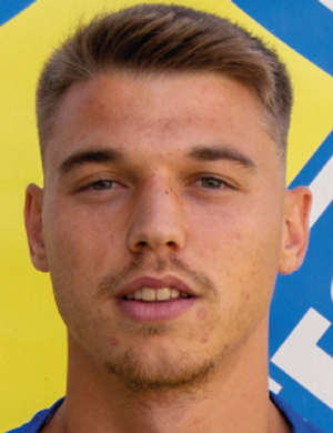 Federico Artioli