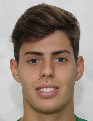 Leão