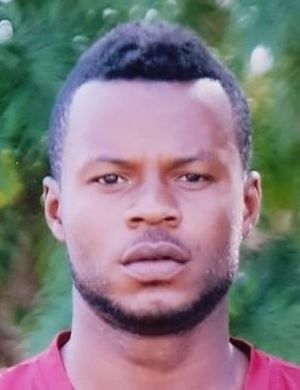Samuel Abiodun Saanumi
