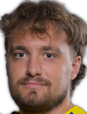 Fabian Steininger