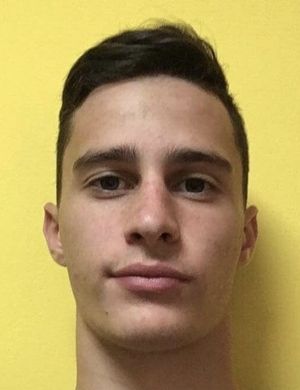 Vid Sedej