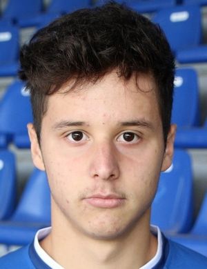 Arnes Kurtovic