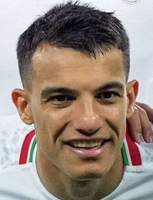 Amirhossein Hosseinzadeh