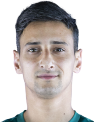 Fadi Al-Natour
