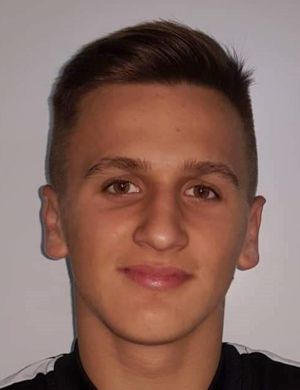 Dzenit Hajdarevic - Player profile | Transfermarkt