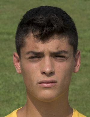 Riccardo Gelmini