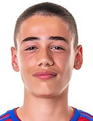 Nemanja Radulovic