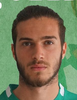 Ahmet Karayiğit
