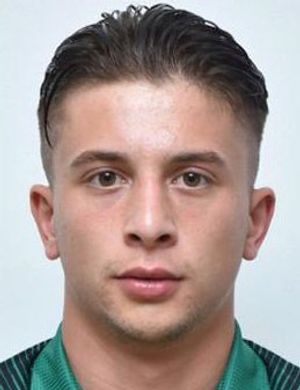 Doğanay Aygün