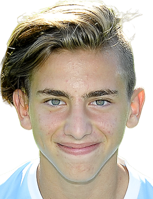 Martin Misovic