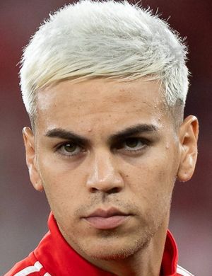 Enzo Barrenechea