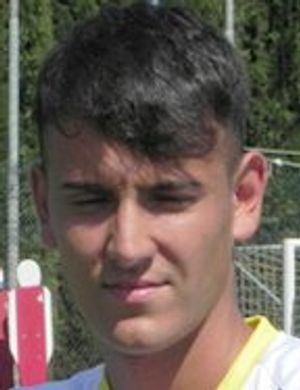 Mattia De Vittoris