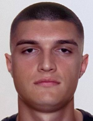 Stanislav Zeljajic
