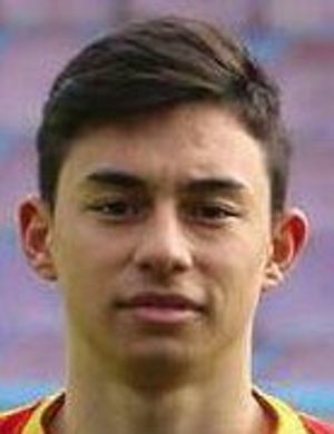 Erenay Ari - Player profile | Transfermarkt