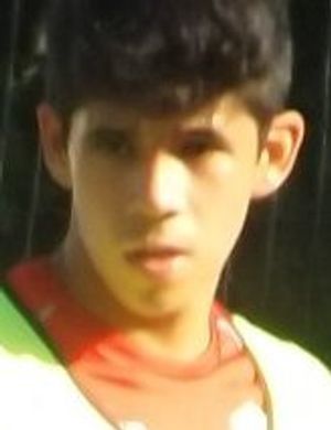 Mattia Gaudenzi