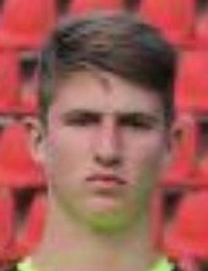 Niklas Gothe