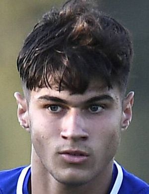 Gabriele Guarino