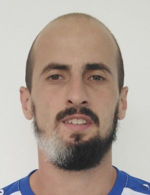 Ljubisa Manolcov