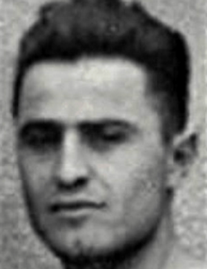 Giorgi Apridonidze