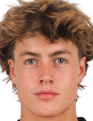 Merijn van de Wiel