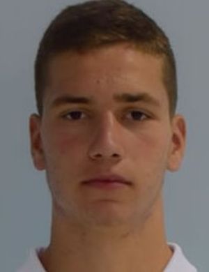 Marko Dobrijevic
