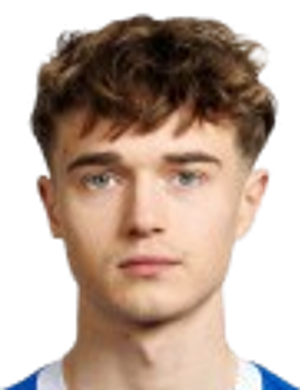 Domantas Vaičekauskas