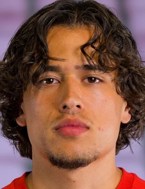 Luca de Meester