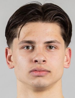 Domantas Šluta