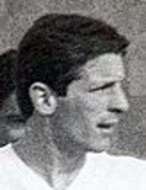 Besik Pridonishvili
